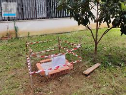 Cane sepolto in cortile: chiesta l'archiviazione del caso