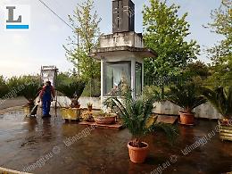 Rubano i fiori alla Madonna: adesso è caccia ai vandali