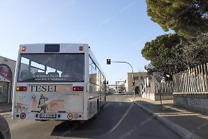 Processo Assedio, trasporto pubblico: quel punto che rischiava di creare grossi guai