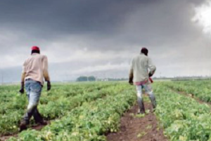 Sul palco del Primo Maggio di Roma nel nome di Satnam