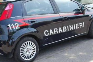 Truffa da film di Totò: fingono donazione e rubano legna dal terreno