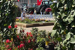 Ultimo giorno di Mostra Agricola Campoverde tra stand, laboratori del gusto e spettacoli