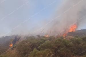 Fiamme sull'arcipelago pontino: brucia la vegetazione di Ponza