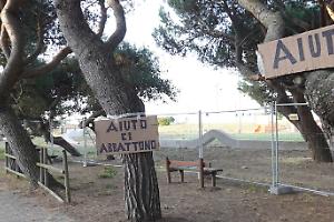 “Salvate gli alberi di Recillo”: il blitz di Legambiente contro i tagli nel parco di Minturno