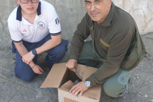 Gabbiano reale in difficoltà salvato dalla Guardia Costiera e dal Parco Riviera di Ulisse