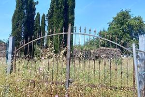 Il cimitero sepolto tra le erbacce
