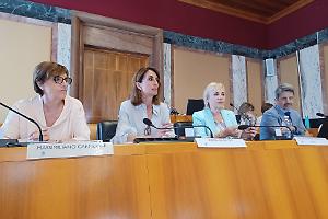 Approvato il piano di zona Saraceno, previsti 104 nuovi alloggi Erp