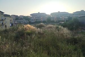 Erba alta e mucchi di terra, degrado nella buca dell'ex Cral