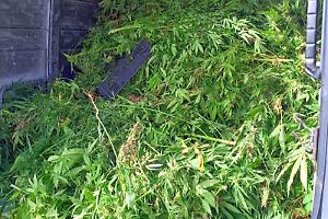 Carico di droga a Le Ferriere, cinque condanne