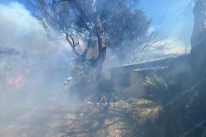 Inferno di fuoco ad Aprilia: distrutta la struttura in legno di vivaio, una famiglia salvata dalle fiamme