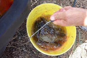 Blitz delle Guardie Ittiche Fipsas: 22 pescatori verbalizzati
