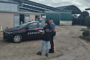 Prevenzione del caporalato, denunciato il proprietario di un'azienda agricola