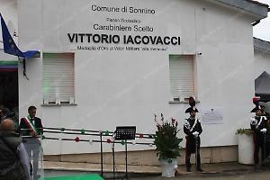 Topi nella scuola Iacovacci, scatta la chiusura per due giorni