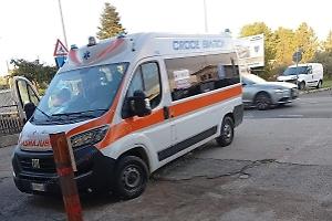 Una lite per il cane smarrito finisce a colpi di guinzaglio