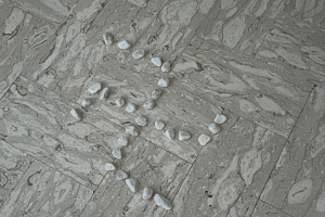 Una svastica davanti la casa del segretario dei Giovani democratici Stefano Vanzini