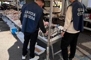 La Guardia Costiera sequestra  200 kg di pescato senza etichettatura