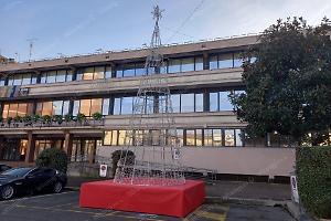 L'albero di Natale sui posti per i disabili, la polemica viaggia sui social