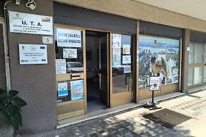 Più servizi per la tutela degli animali: l’iniziativa del Comune di Sabaudia