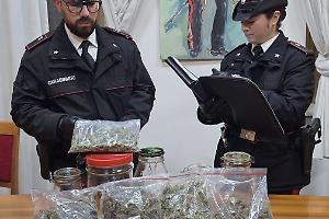 Latina, scorte di coca e marijuana in casa di un insospettabile