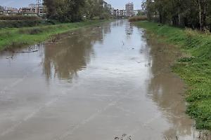 Piogge intense, canali di bonifica sorvegliati