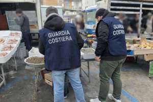 Controlli della Guardia Costiera tra Gaeta e Fondi: sequestrati 160 kg di prodotti ittici e multe
