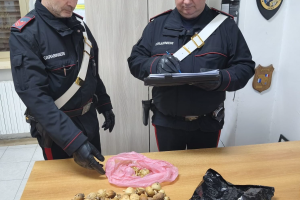 Sabaudia, trovato con 50 bulbi di papavero: denunciato dai Carabinieri