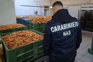 Aprilia, sequestrati 1.500 chili di frappe