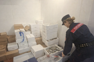 Formia: prodotti ittici in vendita senza tracciabilità ed etichette, scattano sequestri e sanzioni