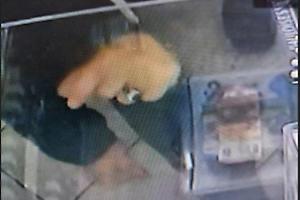 Tabaccaio rapinato, il gip convalida l'arresto del 32enne