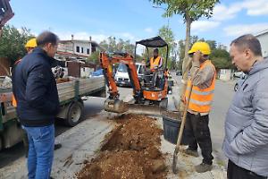 Terracina, gestione verde pubblico: al via la prima fase