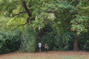 Verde urbano a Terracina, il WWF: “Piantare alberi non può essere uno spot elettorale”