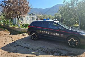 Piazzale e container abitativo senza permessi nell'uliveto, denunciato