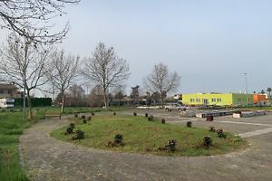 Progetto “Ossigeno”: piantumati oltre 100 alberi a Cisterna