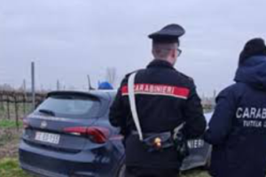 I Carabinieri eseguono un accesso ispettivo presso un’azienda agricola: denunciato il proprietario