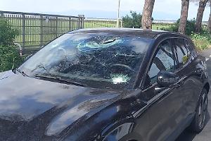 Aprilia, ramo piomba sull’auto in corsa: parabrezza sfondato, ferito il conducente