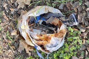 Nel cortile dell'ospedale Goretti era nascosta una pistola pronta a sparare