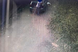 Rifiuti abbandonati, 24 sanzioni in un mese: stretta su controlli e videosorveglianza