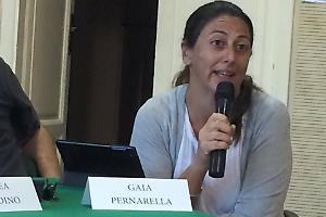 Pernarella: «Multati i fiori, ignorati gli abusi»