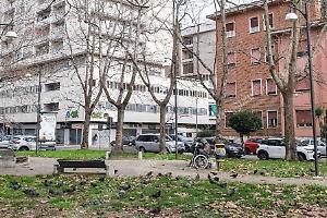 Il Comitato "Don Morosini" sollecita l'amministrazione alla pulizia dell'ambiente