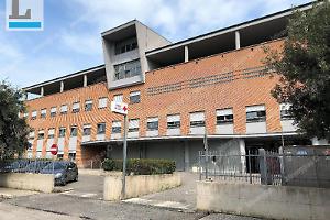 Aneurisma letale, il giudice: «Nessuna negligenza»