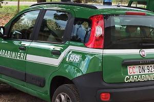 Abbandono di rifiuti, denunciato il presunto responsabile