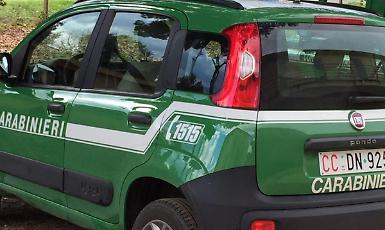 Abbandono di rifiuti, denunciato il presunto responsabile