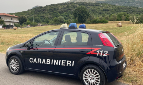 Ladri di olio in azione: entrano nel frantoio VinPia e se ne vanno con 400 litri di prodotto