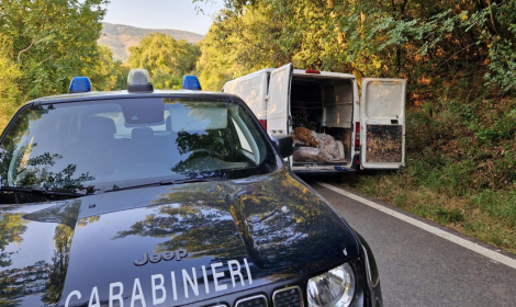 Sorpreso dai carabinieri mentre abbandona rifiuti lungo la carreggiata