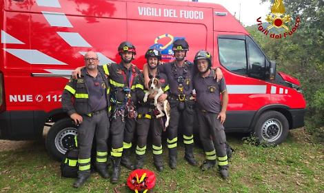 Latina, i Vigili del Fuoco salvano un cucciolo caduto in un dirupo di oltre 30 metri