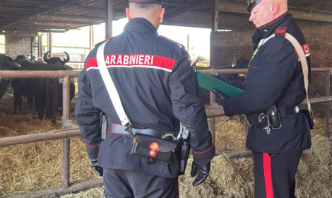 Lavoratori privi dei necessari accertamenti sanitari, denunciata la titolare di un'azienda