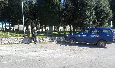 Cercavano lupi, trovano una discarica