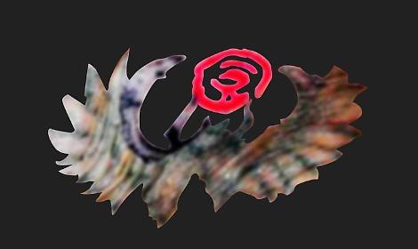 Donna morta a Villa Pamphili, la Questura di Roma chiede aiuto per riconoscerla