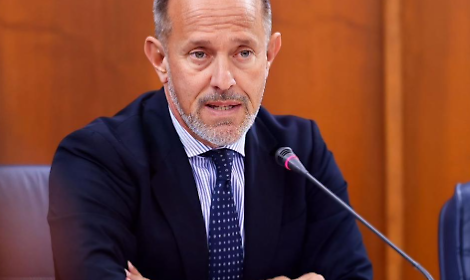 Xylella nel Lazio, incontro Regione-Confagricoltura: nessun rischio per gli ulivi