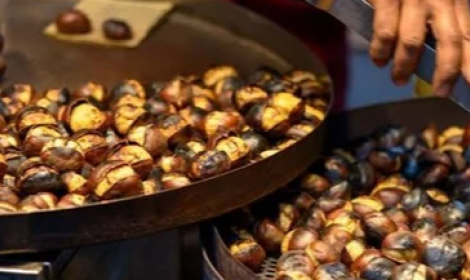 "Castagnata di Novembre 2025": Anzio celebra l&rsquo;autunno tra gusto e solidariet&agrave;